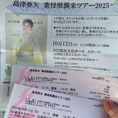 定価16000円　ペアチケット　2枚　10月12日　コンサートチ...