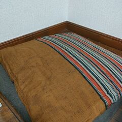 【10/29まで】座布団2枚【難アリ】の画像