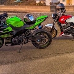 Ninja250  KRT edition   の画像