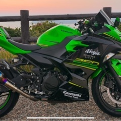 Ninja250  KRT edition   の画像