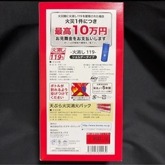 火消し119番 家庭用天ぷら火災消火パック付き ショルダータイプ 未使用の画像