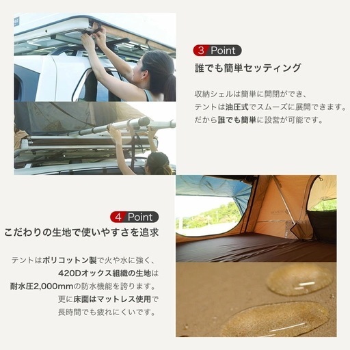 新品未使用品 SHINOBI ルーフテント ハシゴ付 メッセージ頂ければ追加画像有ります