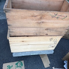 リンゴの木箱　3箱お買い得セットの画像