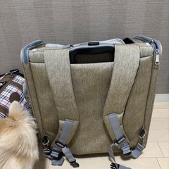 ペットキャリー　セットの画像