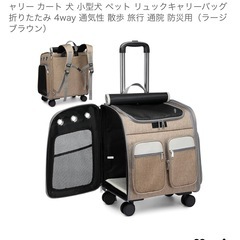 ペットキャリー　セットの画像