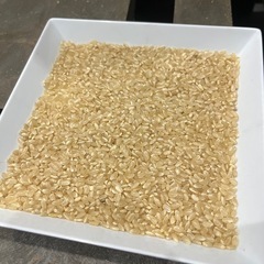 新米　R7年　登米市産　ひとめぼれ　30kgの画像