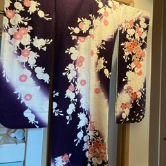 振袖　成人式セットの画像
