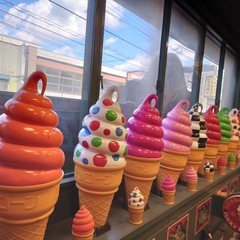 50〜60代 カラオケで昭和歌謡！