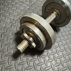 ダンベル　10kg
の画像
