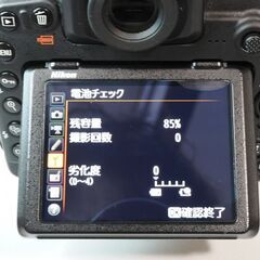 Nikon デジタル一眼レフカメラ D500 レンズキット AF-S DX NIKKOR 16-80/2.8-4E ED VR の画像