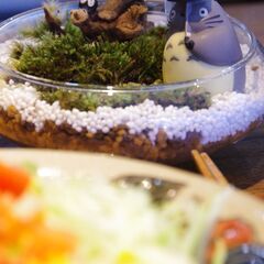 🪴ランチ付き！癒しの苔テラリウムづくりワークショップ in 神戸・長田🕊の画像