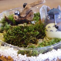 🪴ランチ付き！癒しの苔テラリウムづくりワークショップ in 神戸・長田🕊の画像
