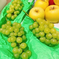 無料！果物4種(りんこ・青リンゴ・梨・ぶどう)の画像