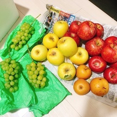 無料！果物4種(りんこ・青リンゴ・梨・ぶどう)の画像