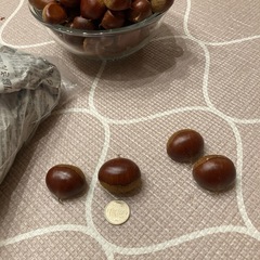 栗の画像