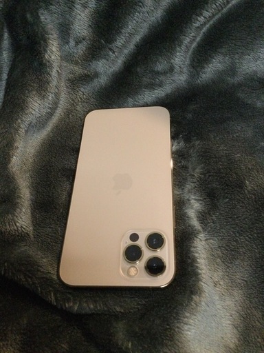 iPhone12 Pro
