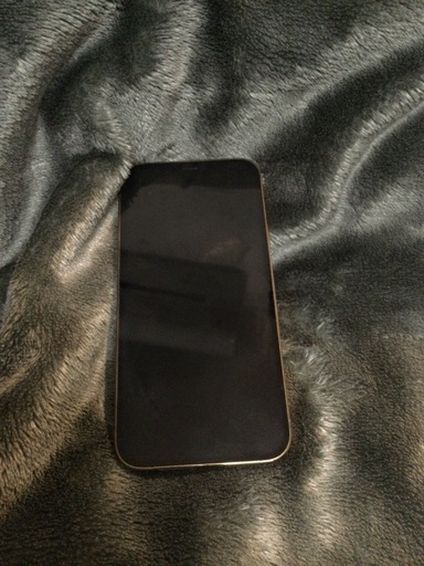 iPhone12 Pro