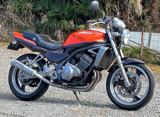 45馬力フルパワー　火の玉カラー　バリオス