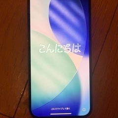iPhone 13promax256の画像