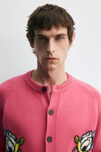 即完売‼️ZARA×Disney ドナルドカーディガン⭐️Mサイズ新品未使用 (周