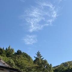 愛媛の南予LINE友達