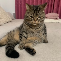 お友達募集∩^ω^∩
