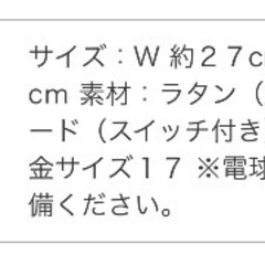 大きい栗のライトの画像