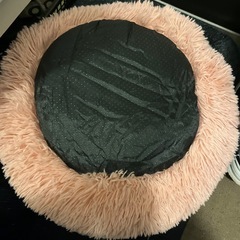 ペット用ベッドの画像