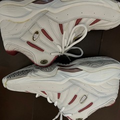 運動靴 バレーボール シューズ ハイカット 24cmの画像