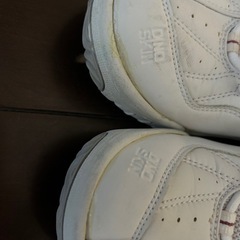 運動靴 バレーボール シューズ ハイカット 24cmの画像