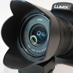 LUMIX DMC-GH1 標準ズームレンズ付きの画像