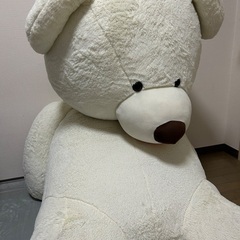 巨大　くまのぬいぐるみの画像