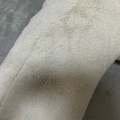 巨大　くまのぬいぐるみの画像