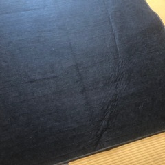 Panasonicホットカーペット2011年製の画像