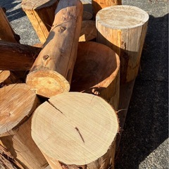 木材無人販売　切り株の画像