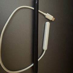 互換Apple Pencilと充電ケーブルの画像