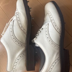 ゴルフ靴
の画像