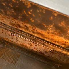 【受渡決まりました】ニトリ　電子レンジの画像