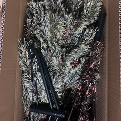 クリスマスツリーの画像