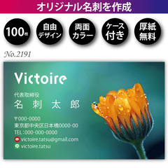 名刺印刷 100枚 両面 フルカラー 紙ケース付 No.2…
