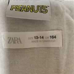 ZARA シャツ キッズの画像