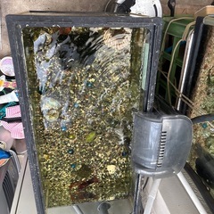 中古60cm水槽と濾過器、メダカ、タニシ付きの画像