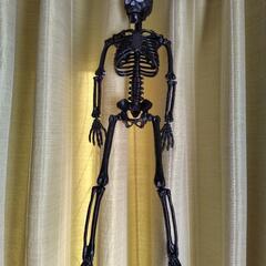 ハロウィン 骸骨フィギュア ブラック 約36cmの画像
