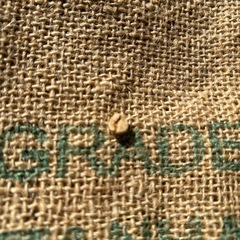 コーヒー豆　麻袋　11枚セットの画像