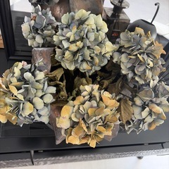 ドライフラワーの画像
