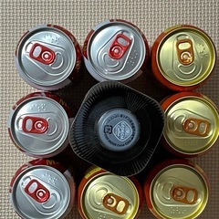 【予約済】ビール8本　未開栓　おまけ付き　新発表　 生ビールなふぉなどの画像