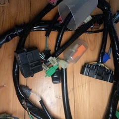 スーホワの画像