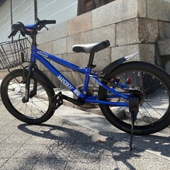アイデス　D-Bike MASTER 18インチ　自転車　青の画像