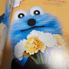 an・an (雑誌 アンアン)Ｎｏ．2439 スンスンの画像