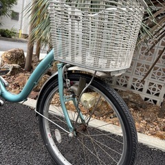 ブリヂストン カルーサ22インチの画像